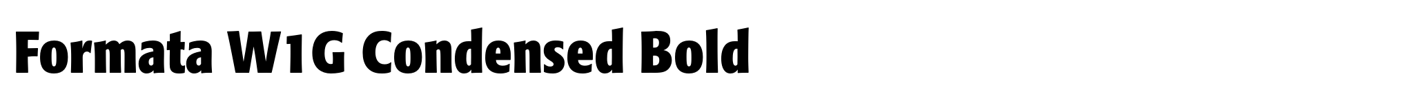 Formata W1G Condensed Bold image